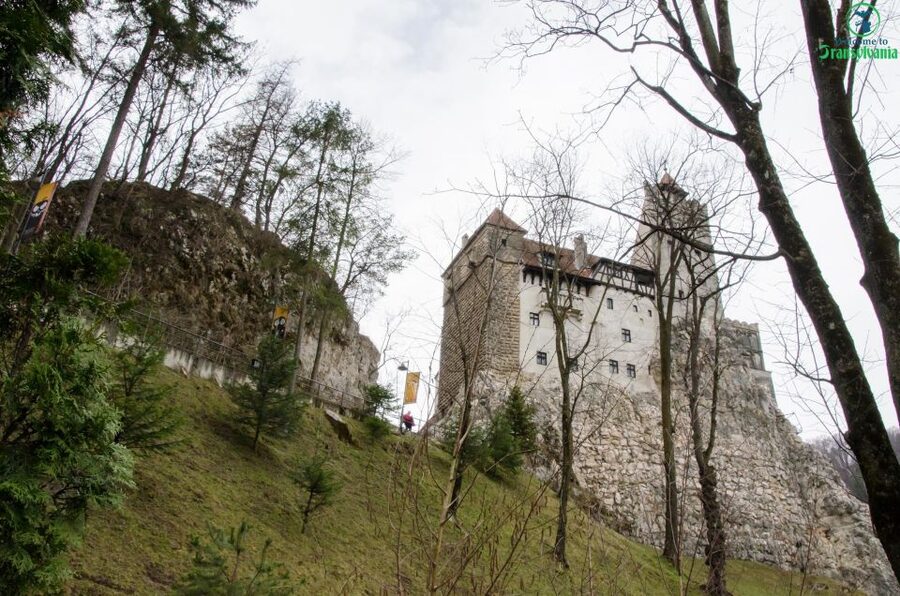 Day trip Bran Castle, Rasnov Fortress and Bear Sanctuary - Pickup in Brașov, Then the Day in 4 Smooth Legs