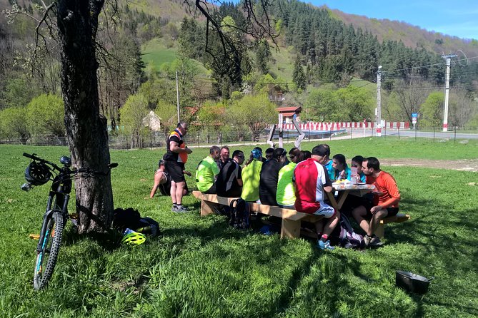 Day trip from Brasov: Bison reserve & traditional lunch - Lunch at a local household: the real Romanian flavor moment