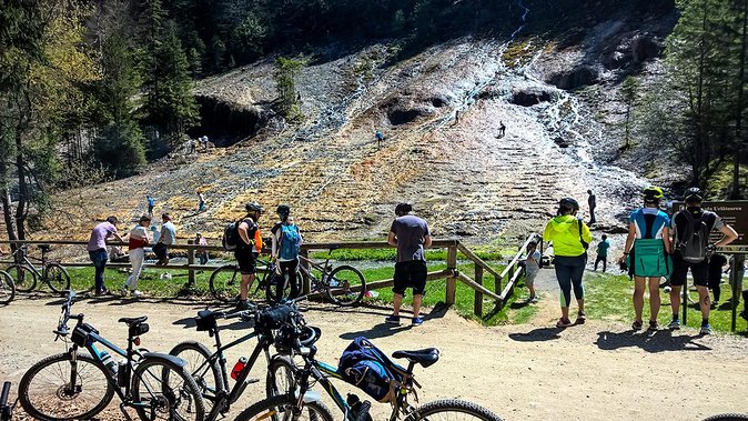 Day trip from Brasov: Bison reserve & traditional lunch - Best time, best mindset, and what to pack