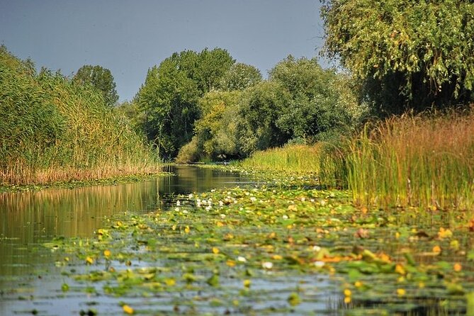 Day Trip from Bucharest to Danube Delta - Danube Delta from Bucharest, what makes this day trip special