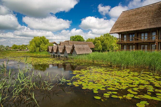 Day Trip from Bucharest to Danube Delta - The morning transfer: early start, long ride, and how to survive it
