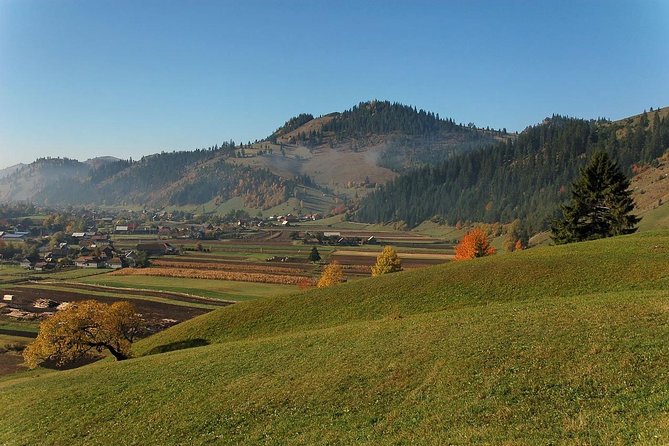 Day trip on Quad ATV - Transylvanian outdoor adventure - Riding the Route: What to Expect From the Quad Time