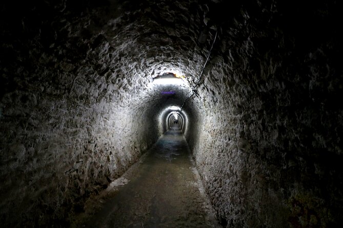 Day Trip to Turda Salt Mine and Corvin Castle from Timisoara - A 11 to 13 hour day trip that stays low-stress