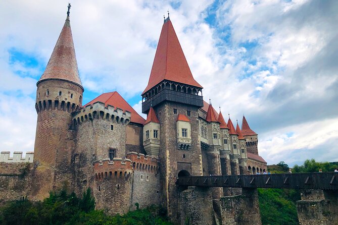 Day Trip to Turda Salt Mine and Corvin Castle from Timisoara - Transport comfort, vehicle size, and the knees question