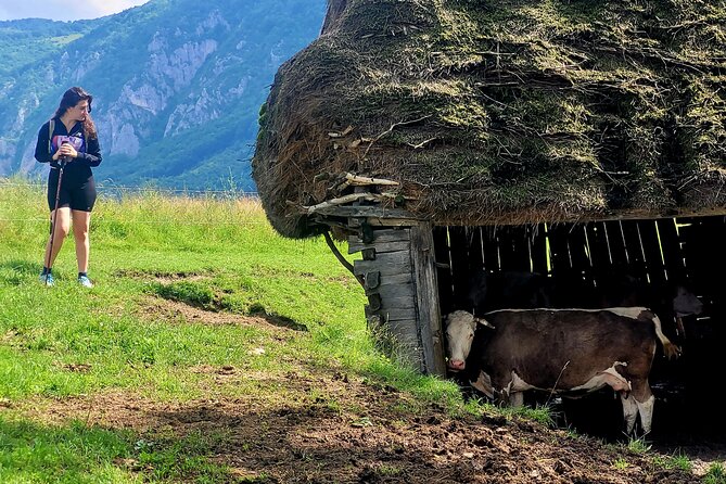 Discover Apuseni Mountains - Scarita Summit,Sipote Waterfall and Dumesti Village - The Hiking Reality Check: Moderate Fitness, Real Climbing, and Your Pace