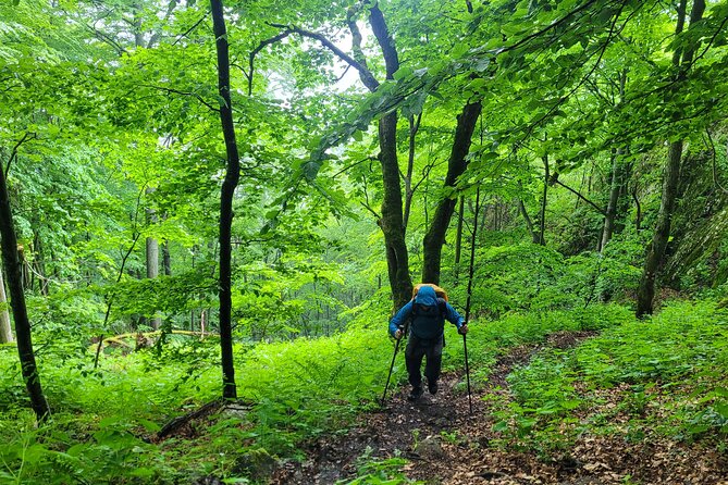 Discover Apuseni Mountains - Scarita Summit,Sipote Waterfall and Dumesti Village - What’s Included: Lunch, Snacks, Water, and Less Stress in the Mountains