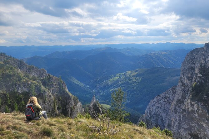 Discover Apuseni Mountains - Scarita Summit,Sipote Waterfall and Dumesti Village - Scarita-Belioara Botanical Reserve: Wildflowers and Fungi Are the Real Treasure