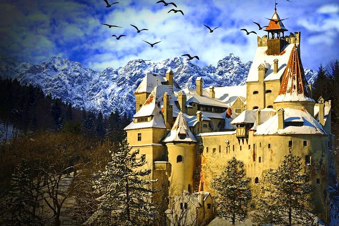 Discover Transylvania: Dracula, Peles Castle, Brasov Private Tour - Private Transport and Hotel Pickup, the Real Value