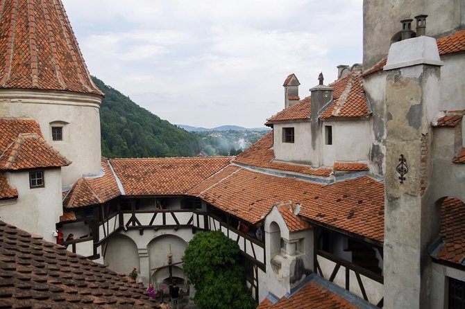 Dracula and Peles Castles Premium Tour with Hotel pick-up - Timing, traffic, and your return to Bucharest