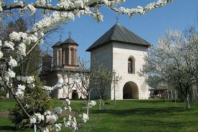 Dracula's Tomb and Mogosoaia Palace, Private Tour from Bucharest - How the 4 to 5 Hours Feel in Real Life, and What to Expect at Each Stop