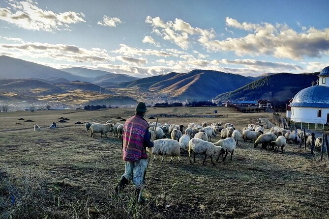 Exclusive Tour: Corvin Castle, Alba Iulia and traditional villages from Sibiu - Small group feel, guide energy, and how it affects your day