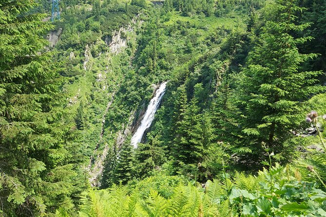Exclusive Tour on Transfagarasan, Balea Lake, Balea and Capra Waterfalls - Capra Waterfall: Closing the Day Up Close (and Quickly)