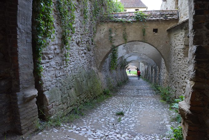 Exclusive tour: Sighisoara, Medias and Biertan tour from Sibiu - Mediaș and St. Margaret Church: frescos, symbols, and a leaning tower