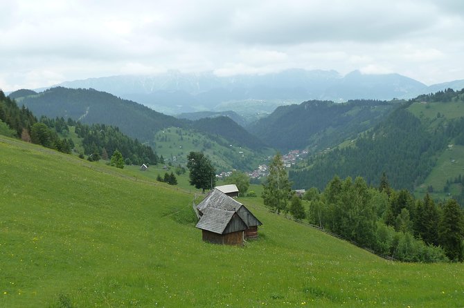 Excursión en Moeciu de Sus (recomendado para familias) con guía español nativo. - El odaie tradicional: vida rural, pastos y qué esperas si viajas en junio a octubre