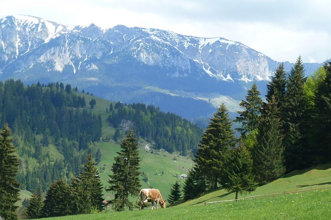 Excursión en Moeciu de Sus (recomendado para familias) con guía español nativo. - Stop 1: Bisericuta (Moieciu de Sus) y las vistas de Bucegi y Piatra Craiului