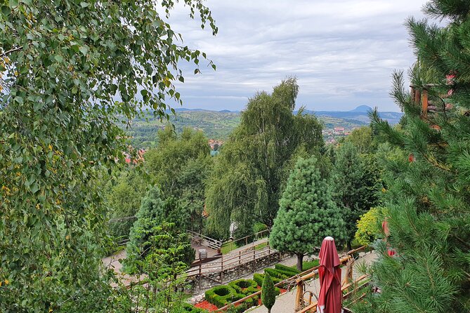 Executive Dracula Day Trip - See Bran & Peles Castle, Brasov from Bucharest - What you can expect from the guide, and why it matters