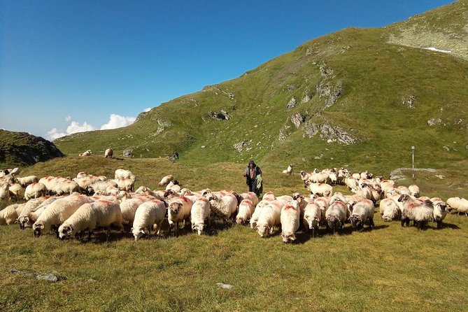 Expedition in Fagaras Mountains from Brasov (Private Tour!) - First, get the vibe right: what a Fagaras crest expedition really means