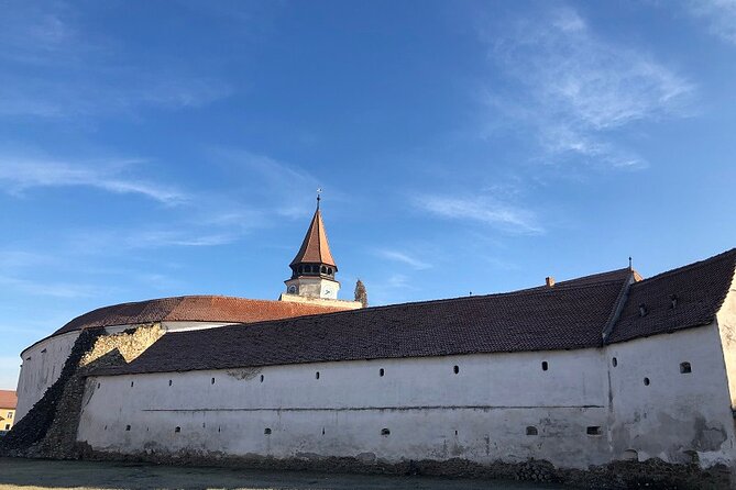 Experience the History of Bran Castle and Saxon Fortifications in Burzenland - Money Matters: The Real Price After Entrance Fees