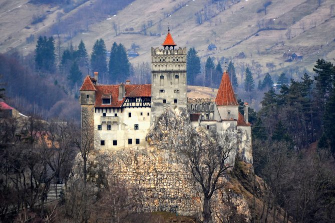 Explore Transylvania: Dracula, Peles Castle & Brasov Private Tour - Hotel Pickup From Bucharest: The Comfort Advantage