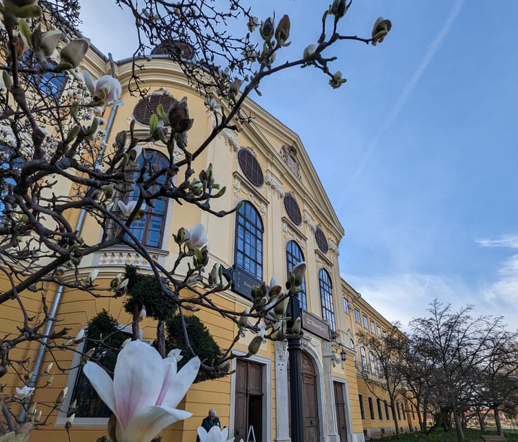 Food, Wine And Sightseeing Tour in Oradea, Romania - Key Highlights You Should Care About