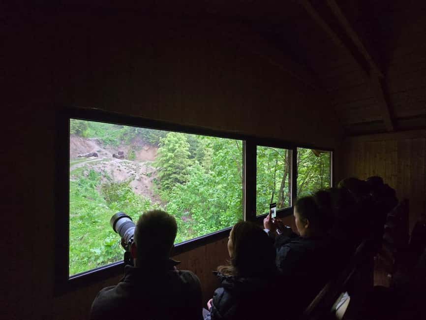 From Brasov: Bear Watching in the Wild - Forest time with comfort tips: shoes, water, rain gear, and simple rules