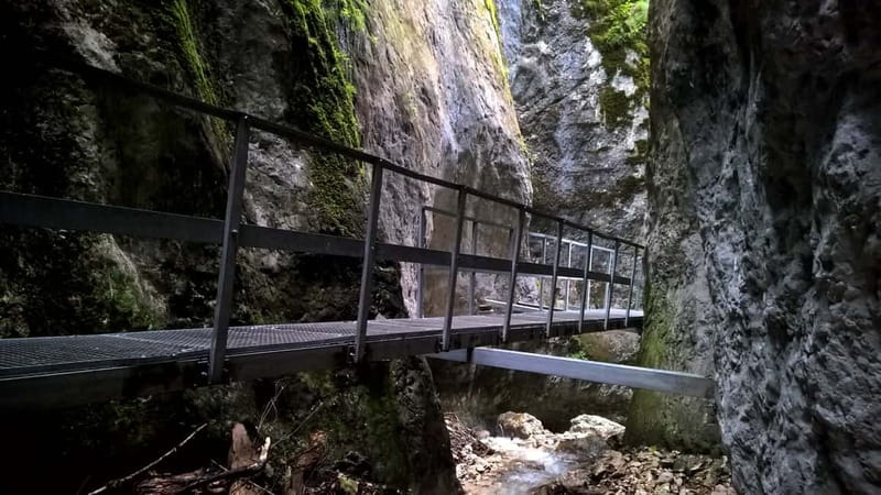 From Brasov: Day Trip to the Seven Ladders Canyon - Key points to know before you go