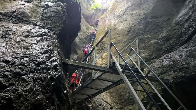 From Brasov: Day Trip to the Seven Ladders Canyon - The easy woodland hike: 1.5 hours that sets the tone
