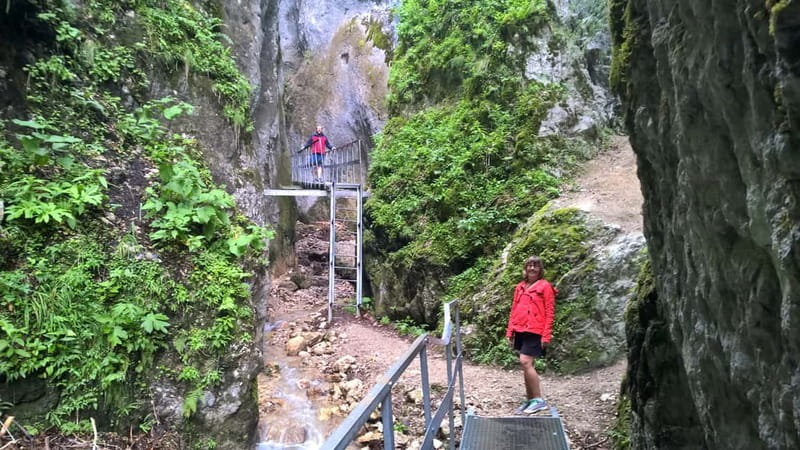 From Brasov: Day Trip to the Seven Ladders Canyon - Who this tour fits best, and who should skip it