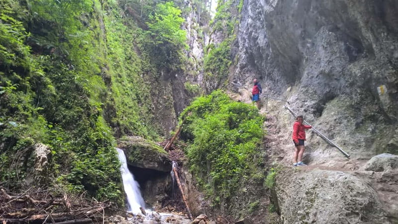 From Brasov: Day Trip to the Seven Ladders Canyon - Price and value: is $146 per person worth it?