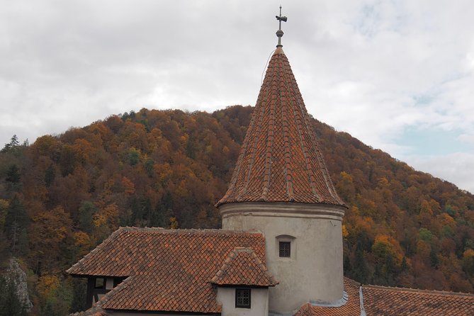 From Brasov: Discover Bran Castle and Râșnov Fortress - Price and timing: what $55.63 buys you