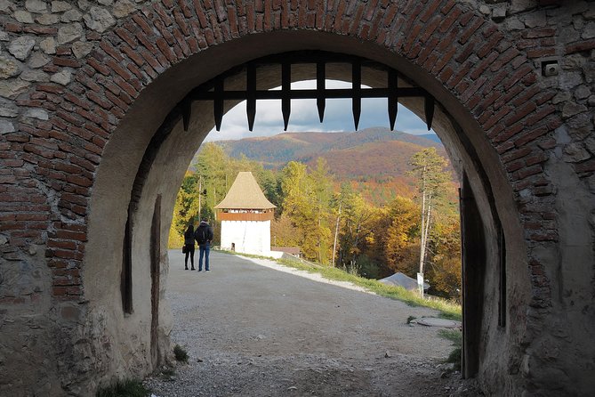 From Brasov: Discover Bran Castle and Râșnov Fortress - Optional Peleș and Pelisor upgrade: when royal rooms are your thing