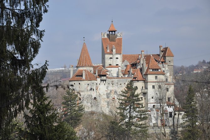 From Brasov: Discover Bran Castle and Râșnov Fortress - Râșnov Fortress access right now: gardens, towers, and the big views