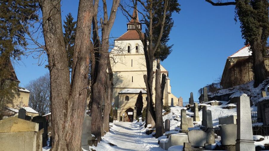 From Brasov: Guided Sighisoara and Sibiu Private Day Trip - What the tour does especially well