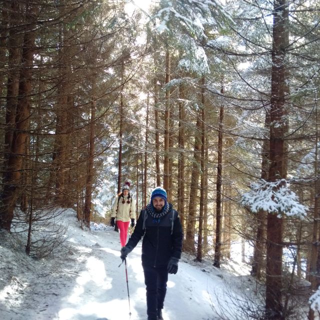 From Brasov: Piatra Craiului National Park Private Day Tour - Lunch and park fees, the stuff that affects your real budget