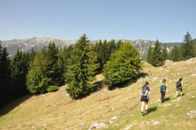 From Brasov: Piatra Craiului National Park Private Day Tour