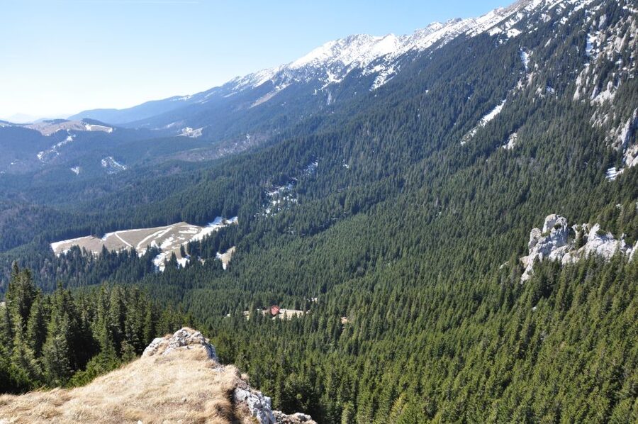 From Brasov: Piatra Craiului National Park Private Day Tour - What to bring so the day stays fun
