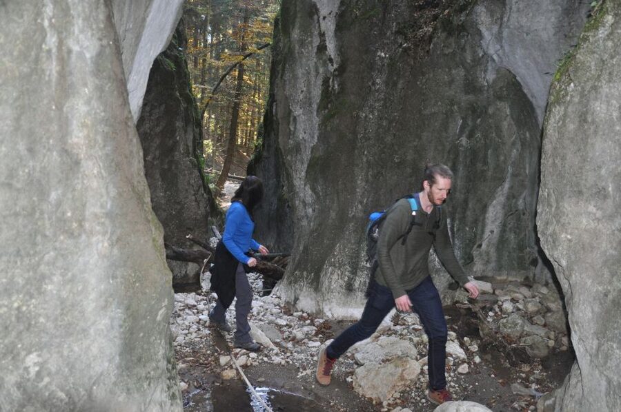 From Brasov: Piatra Craiului National Park Private Day Tour - Should you book the Brașov to Piatra Craiului private day hike?