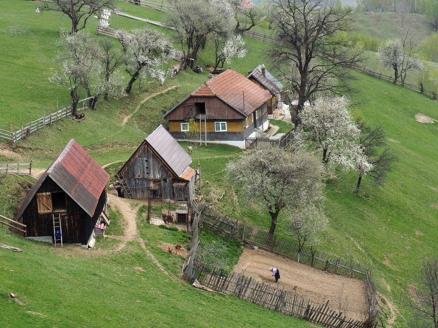 From Brasov: Romanian Mountain Villages Day Tour - Key things that make this day trip work