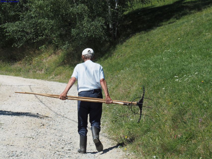 From Brasov: Romanian Mountain Villages Day Tour - From central Brașov to the Piatra Craiului villages