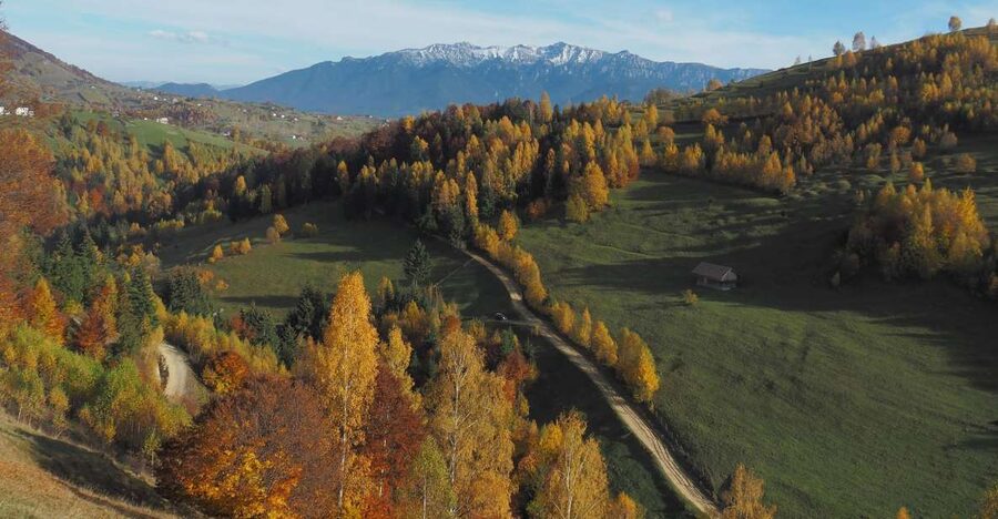 From Brasov: Romanian Mountain Villages Day Tour - The 3 to 4 hour Magura hike: moderate effort, real mountain footing