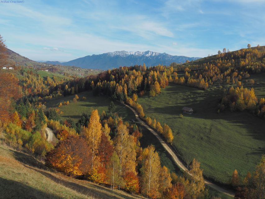 From Brasov: Romanian Mountain Villages Day Tour - Optional Bran Castle photo stop on some days