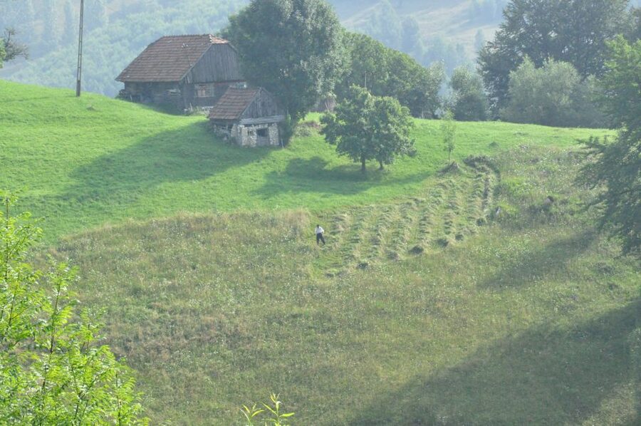 From Brasov: Romanian Mountain Villages Day Tour - Price, value, and what’s not included