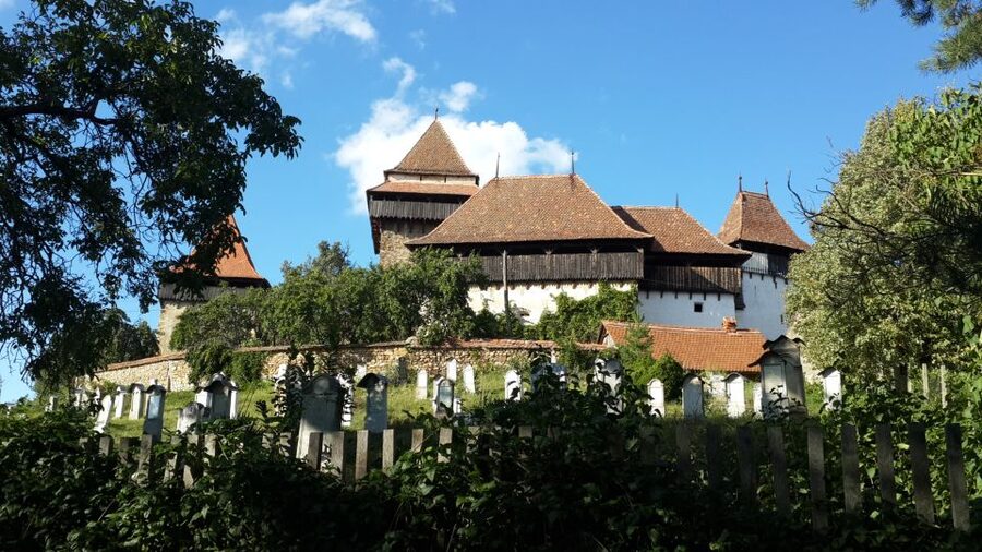 From Brasov: Sighisoara and Viscri UNESCO Day Tour - What to Pack for This Fortified Church and Tower Day