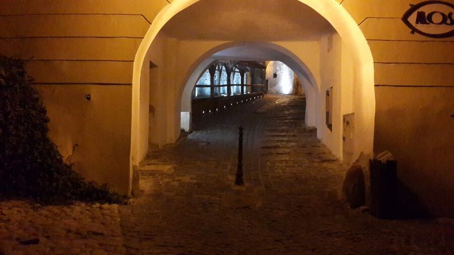 From Brasov: Sighisoara and Viscri UNESCO Day Tour - Small Group Size: Why It Feels Personal