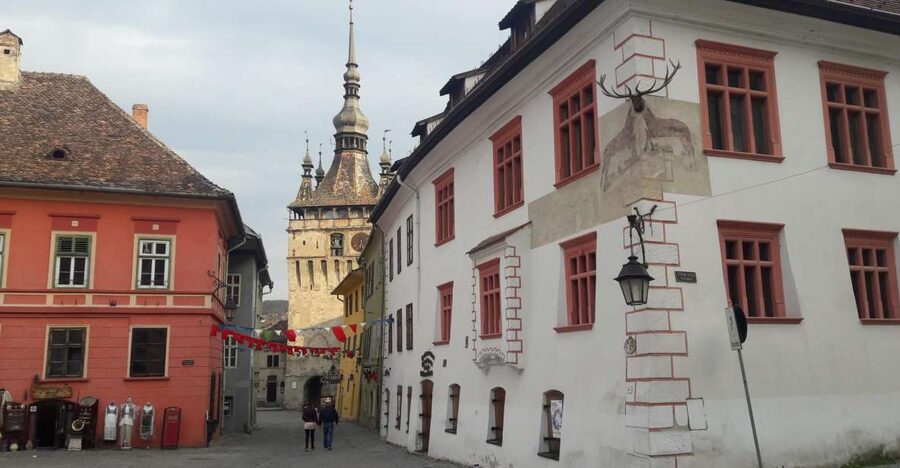 From Brasov: Sighisoara, Viscri, and Rupea Unesco Day Trip - Walter’s distillery and palinca: a quick taste that adds texture