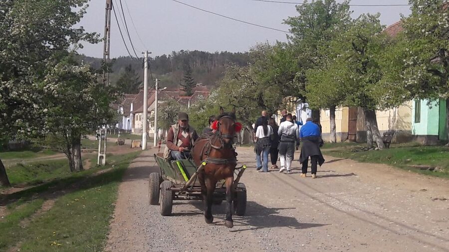From Brasov: Sighisoara, Viscri, and Rupea Unesco Day Trip - Rupea and Viscri set up Sighișoara so it feels like a story