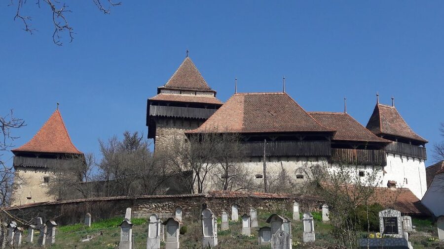 From Brasov: Sighisoara, Viscri, and Rupea Unesco Day Trip - Value and what is not included: the real cost picture