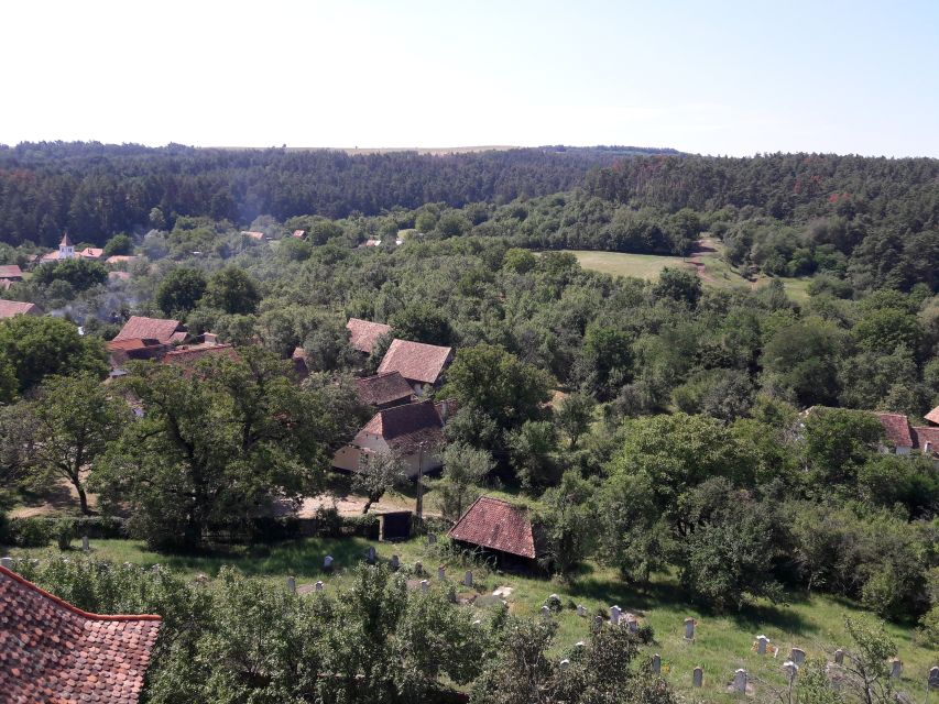 From Brasov: Sighisoara, Viscri, and Rupea Unesco Day Trip - The Brasov van ride: comfort, pace, and how the day stays organized