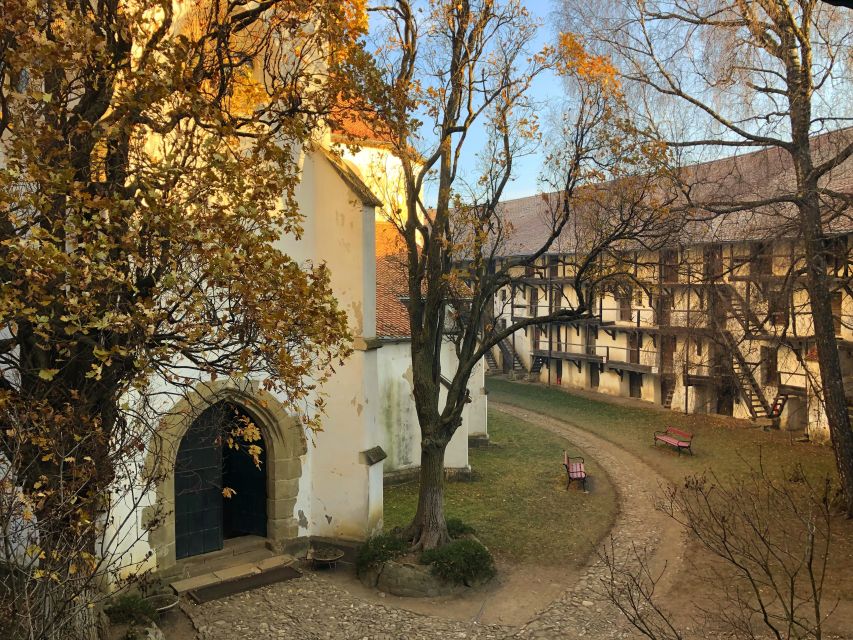 From Brasov: Small-Group Half-Day Fortified Churches Tour - Prejmer fortified church: Latin-cross shape, Gothic look, defense in stone
