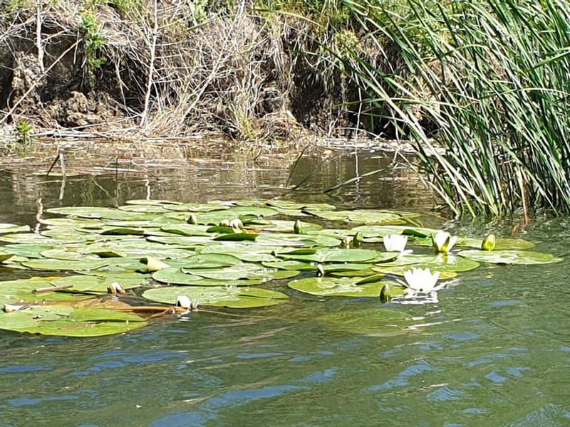 From Bucharest: 2-Day Danube Delta Wonders Small Group Tour - Key things you will remember